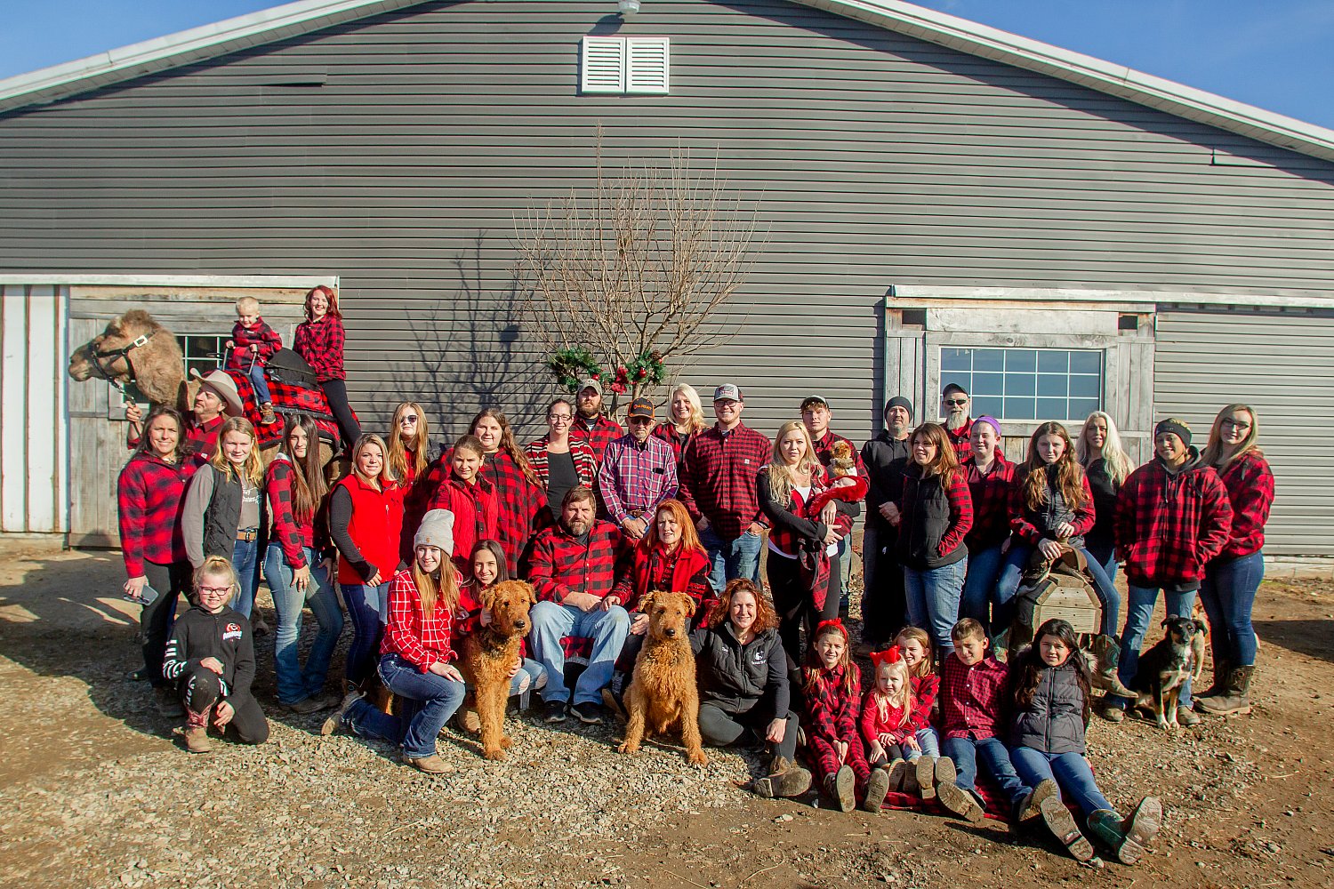 Victory Stables Holiday Photo Clients Equine Clients Foxglove